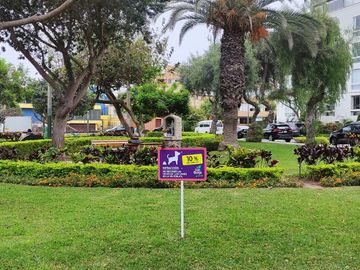 Alquilo Dúplex San Borja 150 m² Frente a Parque 1er Piso/ Us$1,000