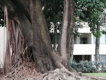 VENDO DEPARTAMENTO .  ZONA NORTE DE CUERNAVACA. 45 MIN. DE CDMX.    VIGILANCIA 24/7