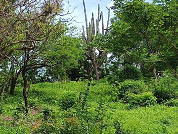 TERRENO DE1.600 MTS2 EN CONJUNTO CERRADO CAMPESTRE EN SANTA MARTA.