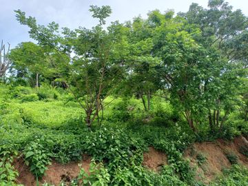 TERRENO DE1.600 MTS2 EN CONJUNTO CERRADO CAMPESTRE EN SANTA MARTA.