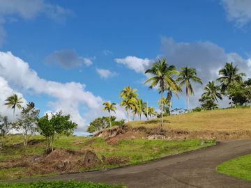 Land for sale San Carlos