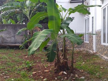 Rumah Hook Strategis di Harjamukti, Depok