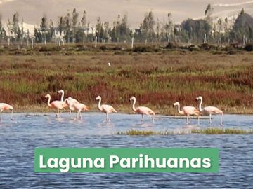 GRAN OCASIÓN Venta de terrenos en Chincha - Condominio La Bienvenida