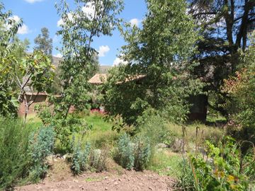 SE VENDE CASA DE CAMPO EN CALLE GRAU, URUBAMBA, CUSCO (CAMINO A TANTANMARCA)