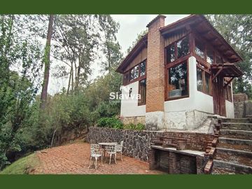 Cabañas inmersas en un grandioso bosque!!