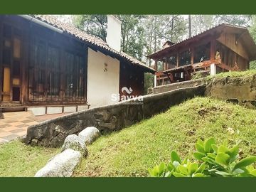Cabañas inmersas en un grandioso bosque!!