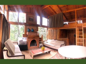 Cabañas inmersas en un grandioso bosque!!