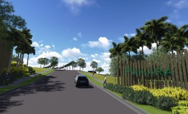 Residential Lot for Sale in Pahara at Southwoods, Cavite