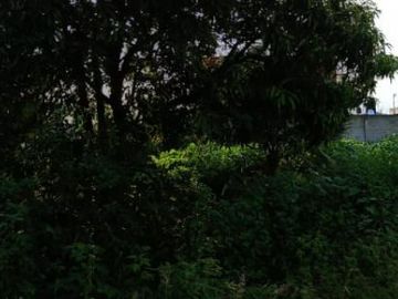 CASA EN VENTA BUENA INVERSION, MIACATLAN MORELOS, OBRA GRIS