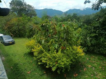 Venta Finca Agropecuaria y Turística en Cocorná Antioquia