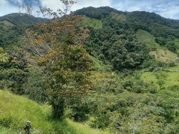 Venta Finca Agropecuaria y Turística en Cocorná Antioquia