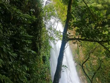 Venta Finca Agropecuaria y Turística en Cocorná Antioquia