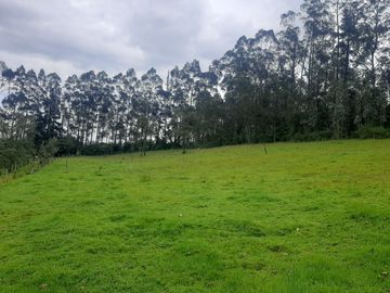 QUINTA en venta, Amaguaña, 49.533m2, plano, con potreros casa, servicios