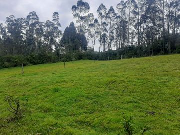 QUINTA en venta, Amaguaña, 49.533m2, plano, con potreros casa, servicios