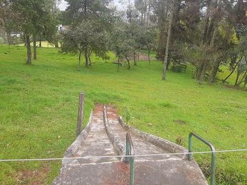 QUINTA en venta, Amaguaña, 49.533m2, plano, con potreros casa, servicios