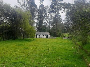 QUINTA en venta, Amaguaña, 49.533m2, plano, con potreros casa, servicios
