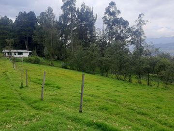 QUINTA en venta, Amaguaña, 49.533m2, plano, con potreros casa, servicios