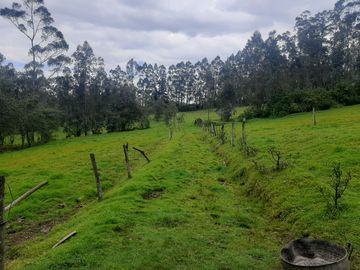 QUINTA en venta, Amaguaña, 49.533m2, plano, con potreros casa, servicios