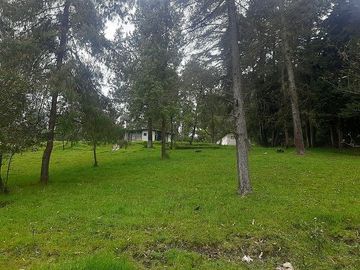 QUINTA en venta, Amaguaña, 49.533m2, plano, con potreros casa, servicios