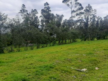 QUINTA en venta, Amaguaña, 49.533m2, plano, con potreros casa, servicios