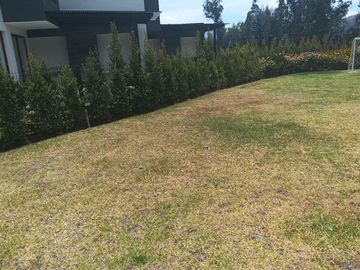 Departamento duplex tipo Casa con jardin de Venta en Cumbaya