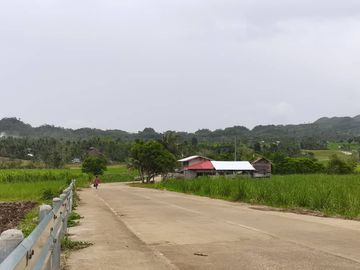 Lot for sale Kabankalan City