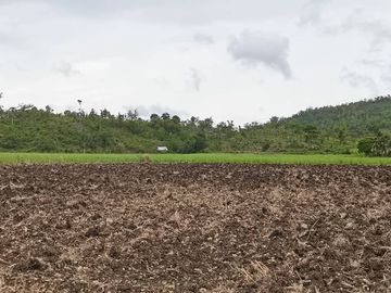 Lot for sale Kabankalan City