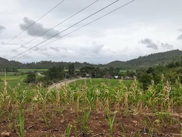Lot for sale Kabankalan City