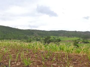 Lot for sale Kabankalan City