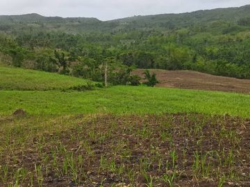Lot for sale Kabankalan City