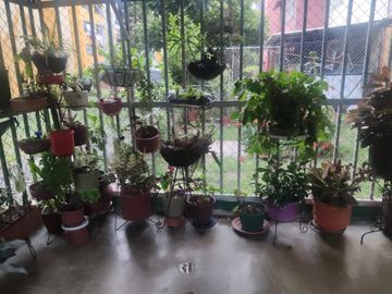VENTA APARTAMENTO CHIMINANGOS 1 PISO GANGA