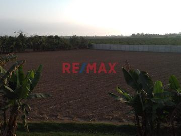 Venta De Terreno Agricola En Chincha Baja .