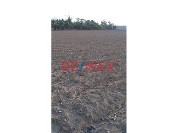 Venta De Terreno Agricola En Chincha Baja .