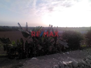 Venta De Terreno Agricola En Chincha Baja .
