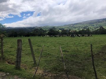 Machachi Hacienda de Venta