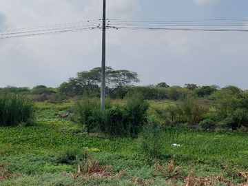 Venta de Terreno Industrial en Via Duran Tambo