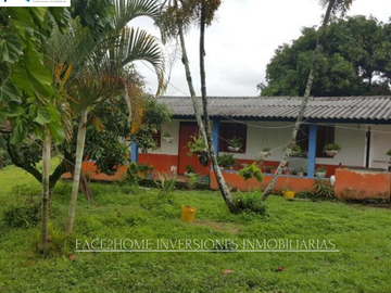 FINCA EN VENTA PRODUCCIÓN   AGUACATERA SANTA ROSA DE CABAL