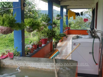 FINCA EN VENTA PRODUCCIÓN   AGUACATERA SANTA ROSA DE CABAL