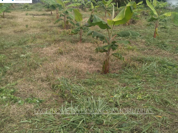 FINCA EN VENTA PRODUCCIÓN   AGUACATERA SANTA ROSA DE CABAL