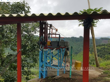 FINCA EN VENTA PRODUCCIÓN   AGUACATERA SANTA ROSA DE CABAL
