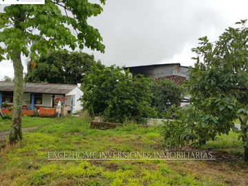 FINCA EN VENTA PRODUCCIÓN   AGUACATERA SANTA ROSA DE CABAL