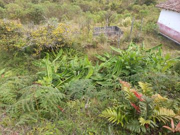 VENDO FINCA DE TRABAJO EN CONCEPCIÓN ANTIOQUIA.