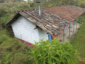 VENDO FINCA DE TRABAJO EN CONCEPCIÓN ANTIOQUIA.