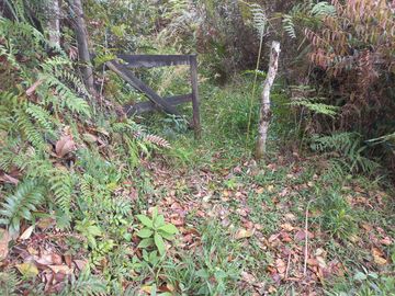 VENDO FINCA DE TRABAJO EN CONCEPCIÓN ANTIOQUIA.