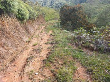 VENDO FINCA DE TRABAJO EN CONCEPCIÓN ANTIOQUIA.