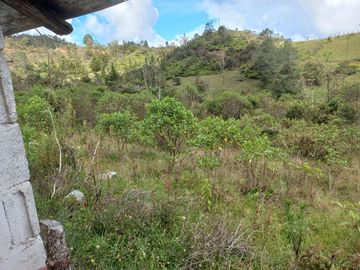 VENDO FINCA DE TRABAJO EN CONCEPCIÓN ANTIOQUIA.