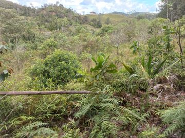 VENDO FINCA DE TRABAJO EN CONCEPCIÓN ANTIOQUIA.
