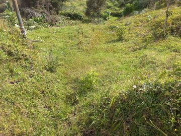 VENDO FINCA DE TRABAJO EN CONCEPCIÓN ANTIOQUIA.