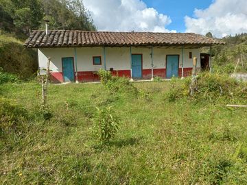 VENDO FINCA DE TRABAJO EN CONCEPCIÓN ANTIOQUIA.