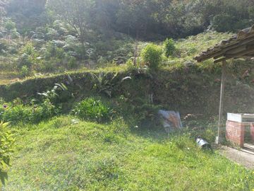 VENDO FINCA DE TRABAJO EN CONCEPCIÓN ANTIOQUIA.